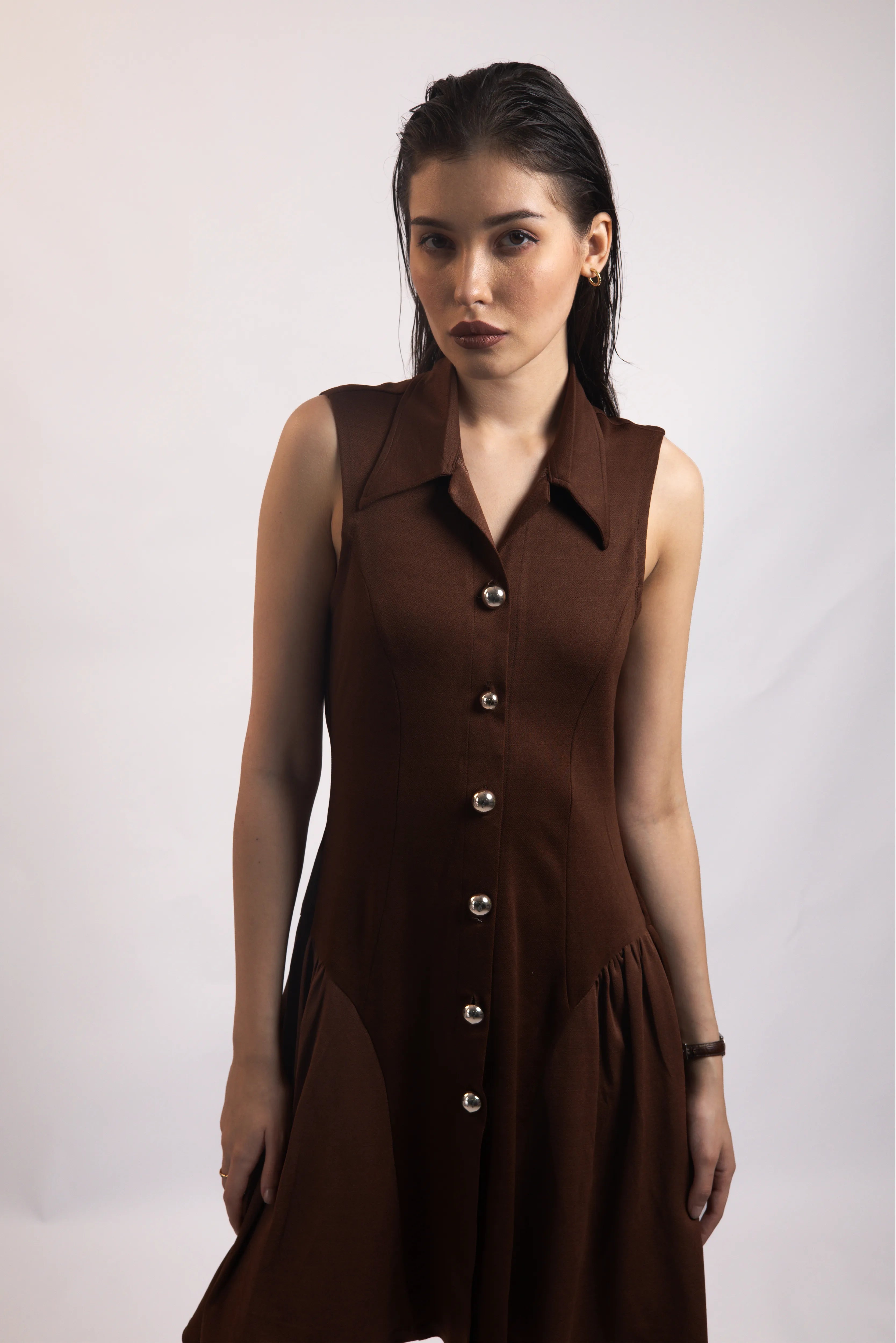 WALNUT BROWN COLLARED FLARE DRESS