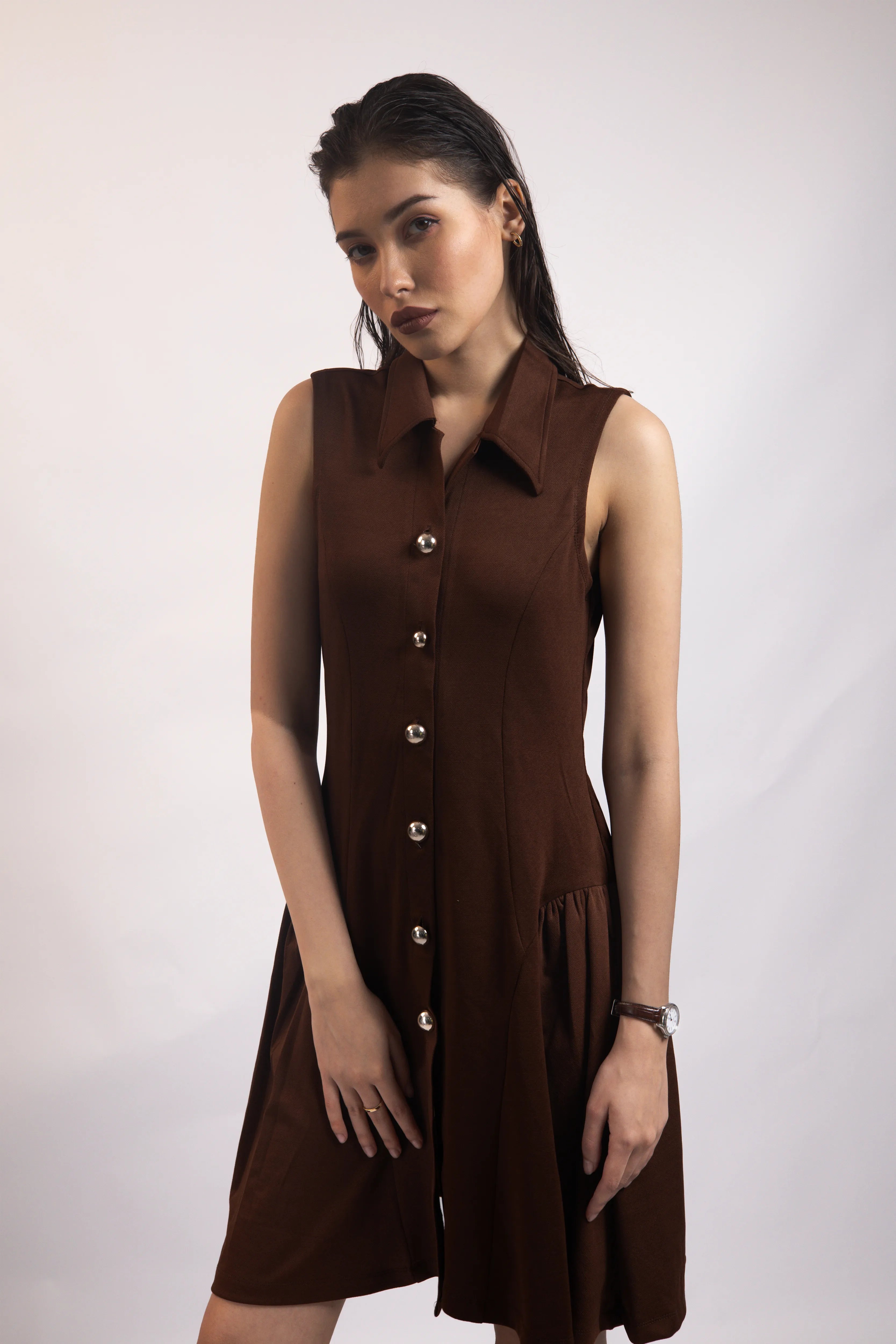 WALNUT BROWN COLLARED FLARE DRESS