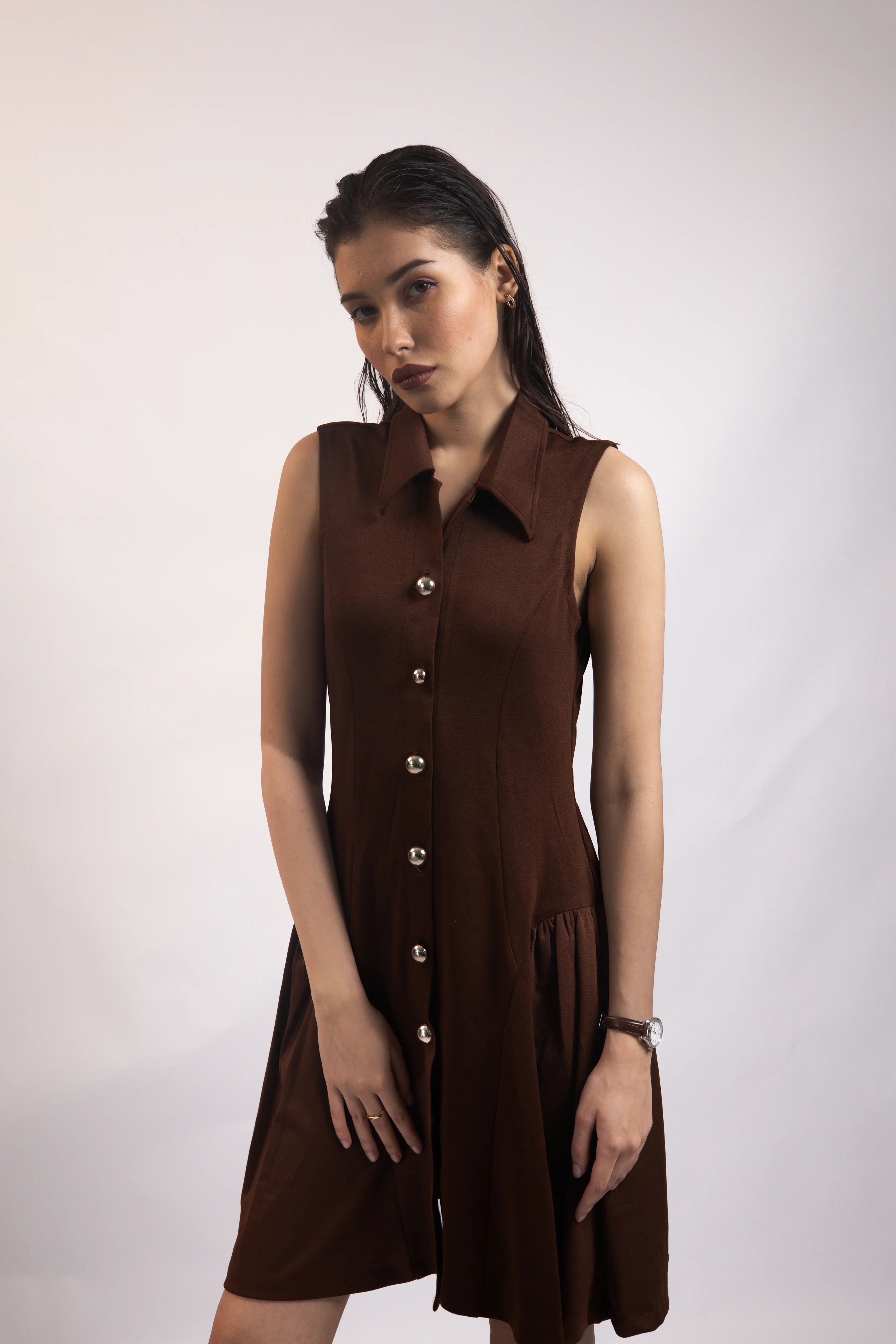 WALNUT BROWN COLLARED FLARE DRESS